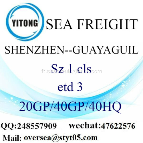 Fret de Shenzhen Port maritime d’expédition à Guayaguil